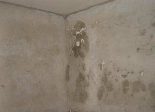 什么是墻面反堿？家中墻體返堿掉皮怎么處理？