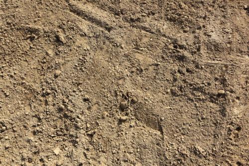 1621476712189697.jpg u=157932527,3276230413&fm=26&gp=0.jpg